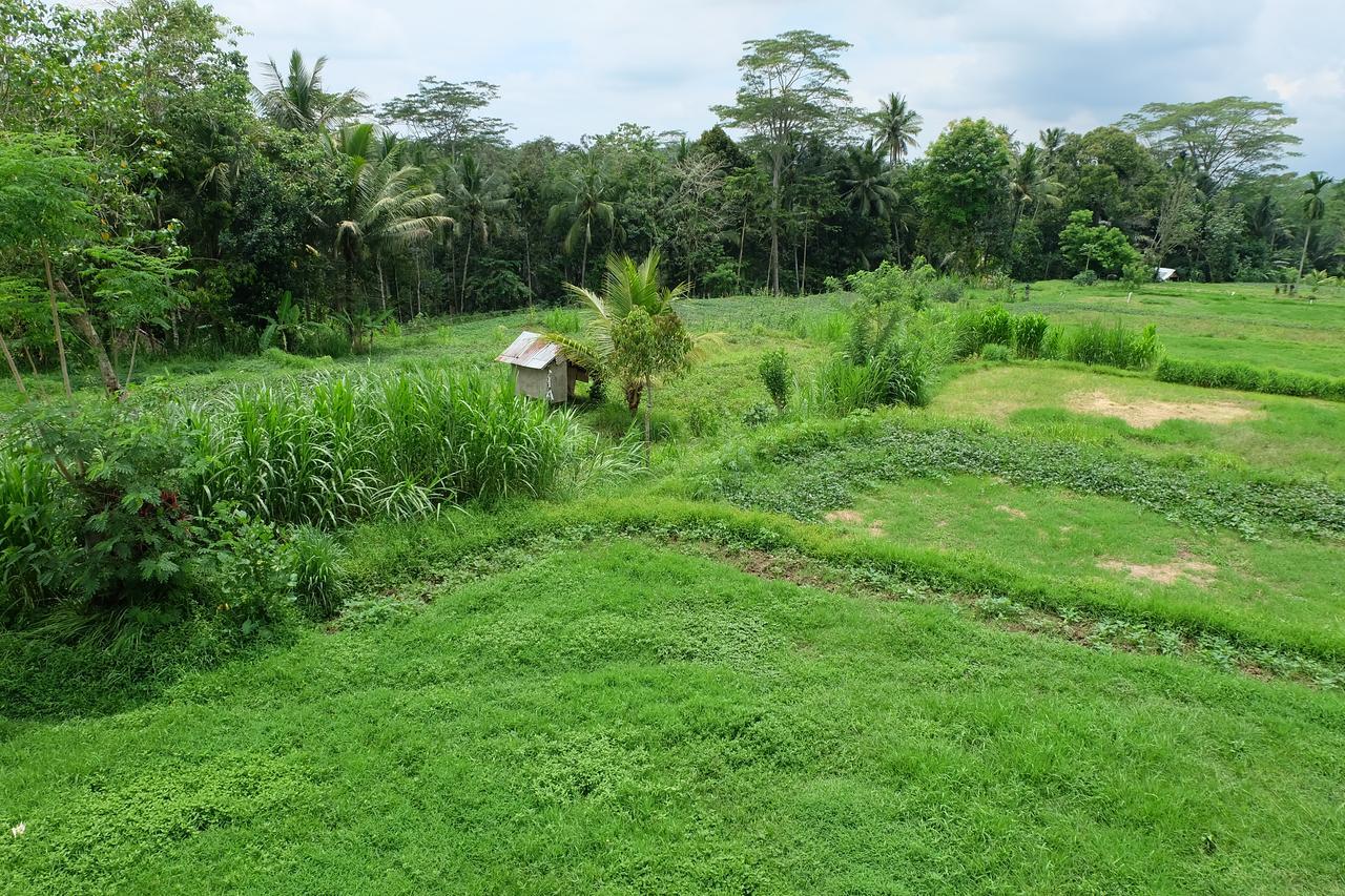 The Rana Villa Tegallalang (Bali) Exterior foto