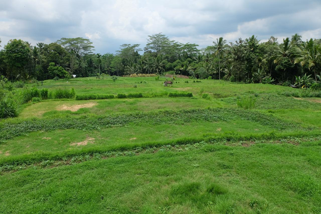 The Rana Villa Tegallalang (Bali) Exterior foto